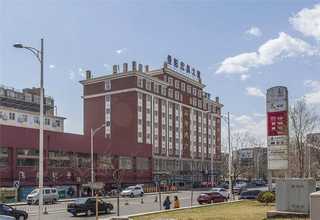 上海蝴蝶兰成本价