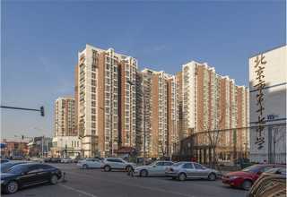 上海象牌灰水泥供应商