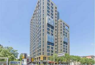 甘肃品牌黄花菜交易价格